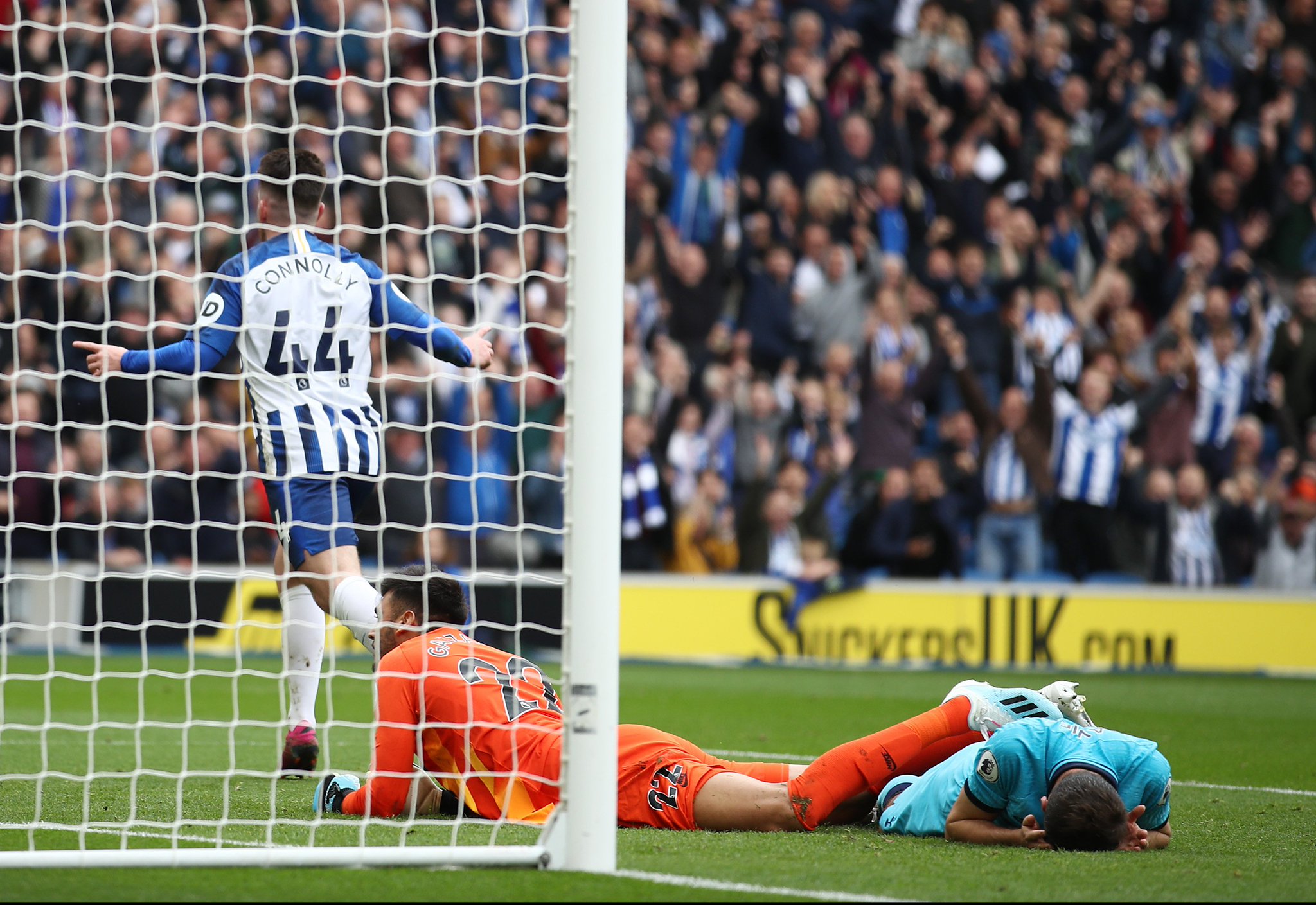 的惊喜和精 的惊喜和精